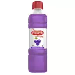 PEDIALYTE MAX ZINC 60 UVA 500ML