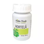 Hortelã - Ninho Verde 60c