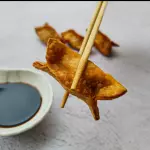 WONTON DE CERDO