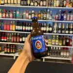 ANTARCTICA LITRINHO 300ML