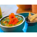 Sopa Frango desfiado com Legumes