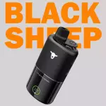 BLACK SHEEP DUO MIX 30K