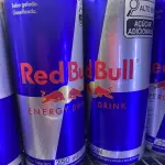 RED BULL (sabores) 250ml