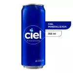 Agua mineral 355ml