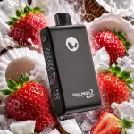 Coco Strawberry 33