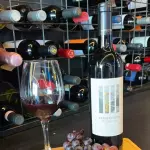 DOURO PERSPECTIVA