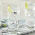 Vodka Tônica
