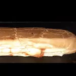 Cachorro Especial