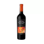 Vino Navarro Correa