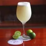 pisco saur catedral