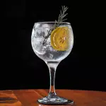 Gin Tônica