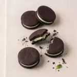 Galletas chocomenta 🍫 🌿