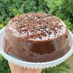 Vulcão (800g)