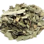 EUCALIPTO 50 GR