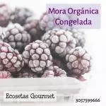 Mora Congelada x500gr