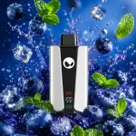 Blueberry Mint