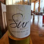 Copa de Vino Sauvignon Blanc