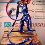 Pechera ajustable perros medianos