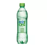 690 - H20 500ml