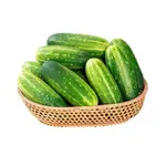 Pepino Salada uni