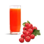 SUCO DE ACEROLA POLPA 400 ml