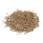 Endro - 50g