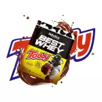 Best Whey Protein Sachê 40g Toddy