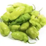 Pimenta Cheiro Verde bandeja 0,100g