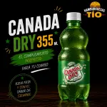 Canada DRY 355 ML