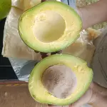 Aguacate choquette 10.000