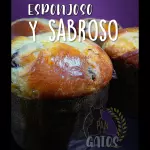 Panettone