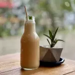 Batido refrescante
