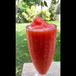 FRESA FROZEN