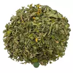 Damiana Chanana - 14g