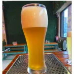 CHOPP SINVERGUENZA (PILSNER) 680 ML