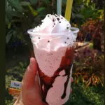 FRAPÊ - 500ML