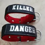 Collar de Paseo personalizado