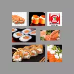 34 peças salmão
