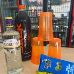 Combo Gin GordonS 750ml