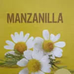 Té manzanilla