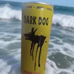 DARK DOG