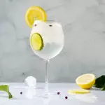 Gin Tonic