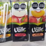 🧃 Jugo Del Valle (200 ml)