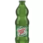 Canada Dry 600ML