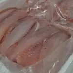 File de Tilápia fresca Kg