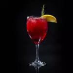 A LIBELULA