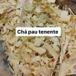 PAU TENENTE
