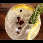 Gin Tonica