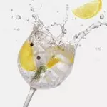 Dose de Gin