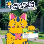 PROMO HAND ROLLS + BEBIDA (JUNAEB)